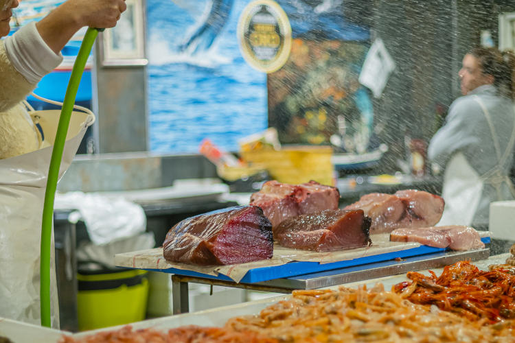 Proveedores directo de materia prima, pescado